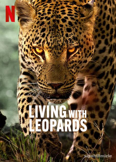 Leoparlarla Yaşam 2024 Filmi Türkçe Dublaj Altyazılı izle